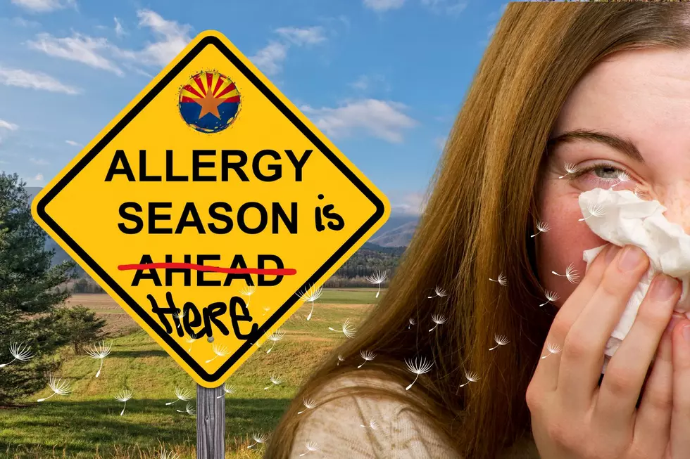 Simple Hacks to Conquer Allergies in Arizona